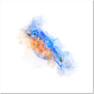 Blue bird watercolor Posters and Art